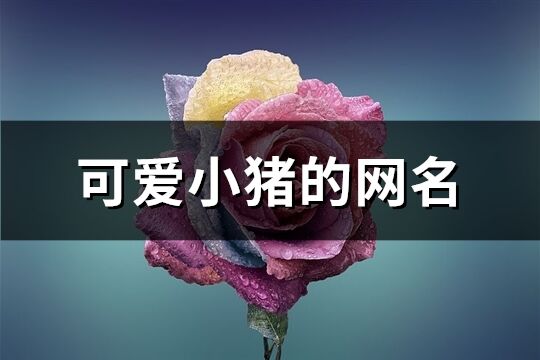 可爱小猪的网名(125个)