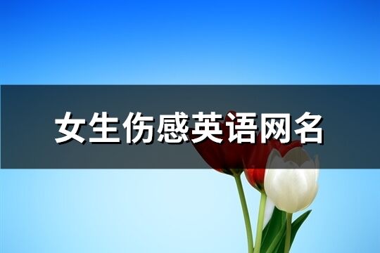 女生伤感英语网名(共84个)