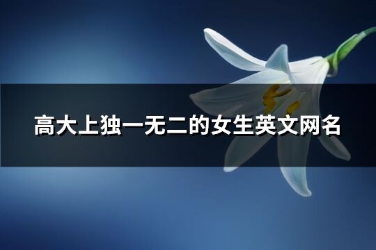 高大上独一无二的女生英文网名(66个)