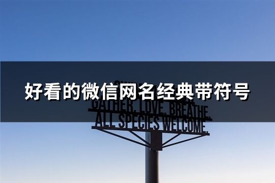 好看的微信网名经典带符号(共170个)