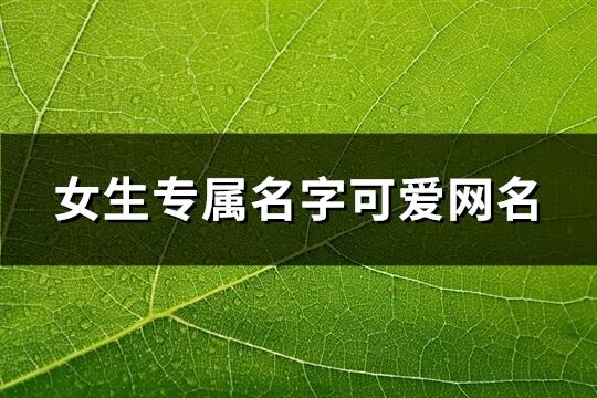 女生专属名字可爱网名(精选101个)