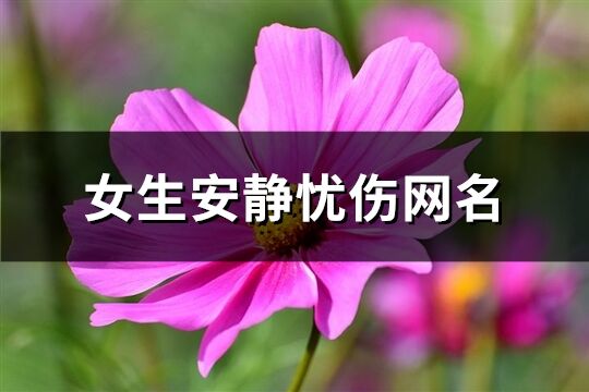 女生安静忧伤网名(共558个)