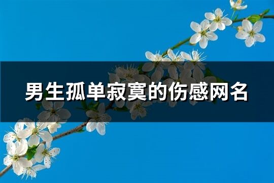 男生孤单寂寞的伤感网名(共453个)