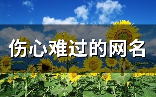 伤心难过的网名