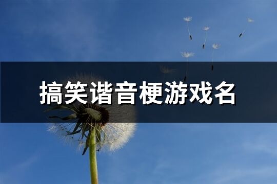 搞笑谐音梗游戏名(共112个)