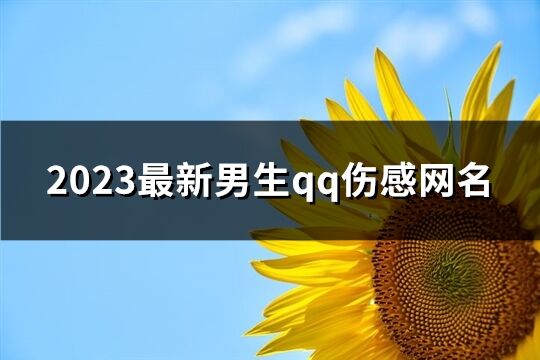 2023最新男生qq伤感网名(共453个)