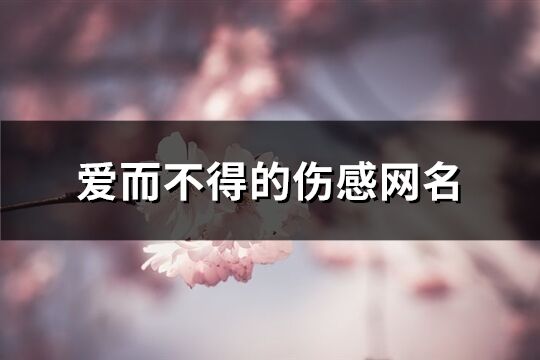 爱而不得的伤感网名(共163个)