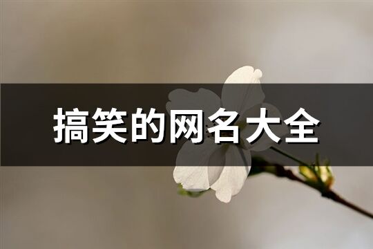 搞笑的网名大全(共581个)