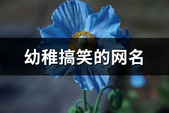 幼稚搞笑的网名(共77个)