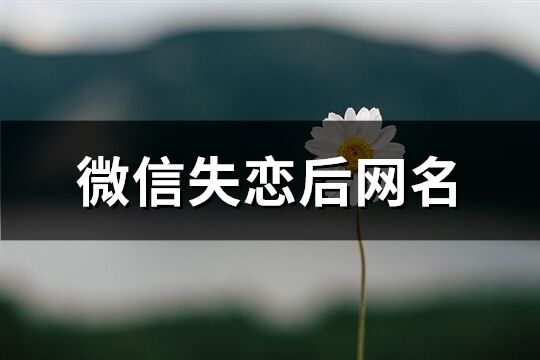 微信失恋后网名(共115个)