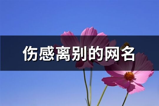 伤感离别的网名(627个)