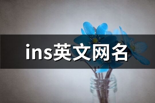 ins英文网名(共129个)