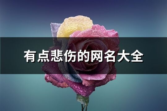 有点悲伤的网名大全(348个)