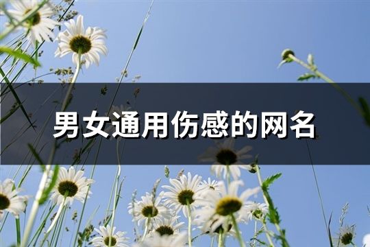 男女通用伤感的网名(135个)