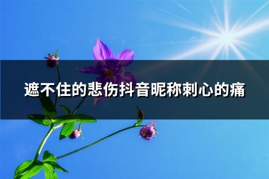 遮不住的悲伤抖音昵称刺心的痛(295个)