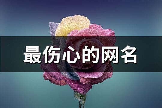 最伤心的网名(471个)