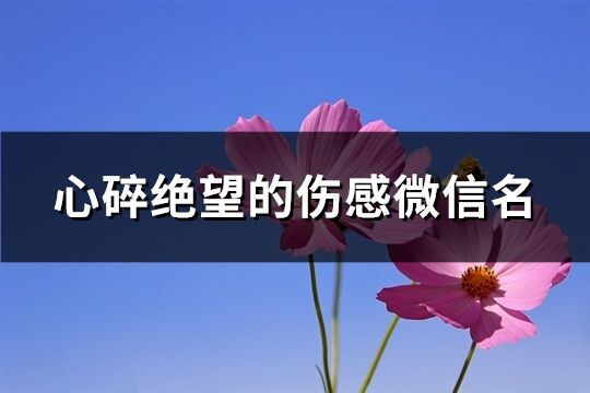 心碎绝望的伤感微信名(精选258个)