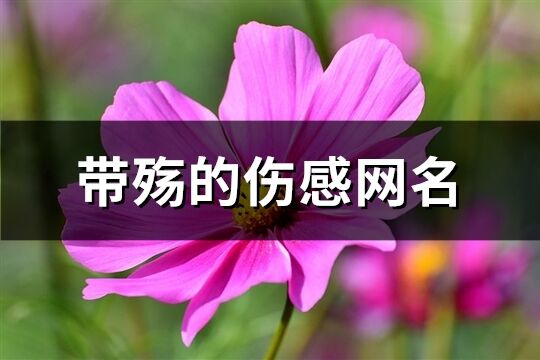 带殇的伤感网名(70个)