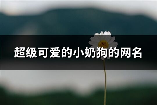 超级可爱的小奶狗的网名(共86个)