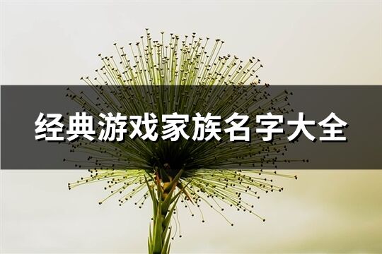 经典游戏家族名字大全(658个)