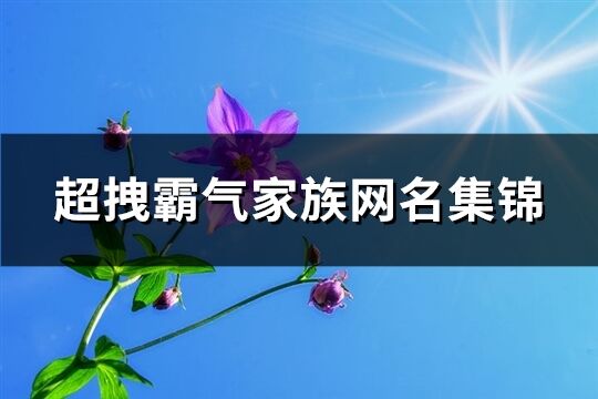 超拽霸气家族网名集锦(945个)