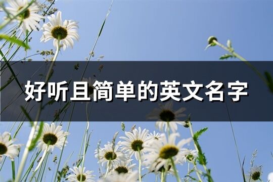 好听且简单的英文名字(共79个)