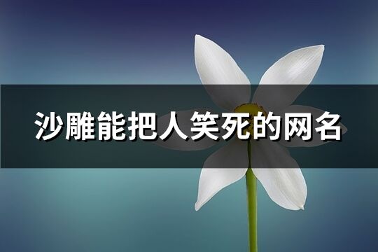 沙雕能把人笑死的网名(270个)