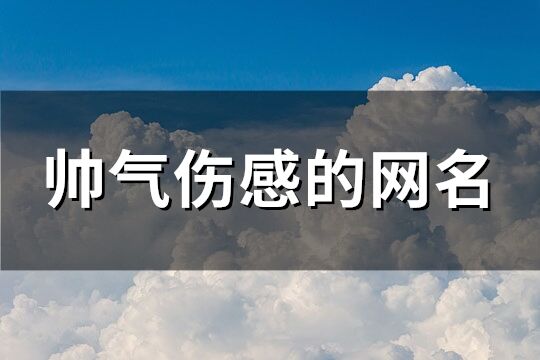 帅气伤感的网名(共298个)