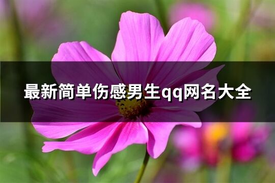 最新简单伤感男生qq网名大全(共415个)