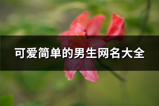 可爱简单的男生网名大全(共134个)