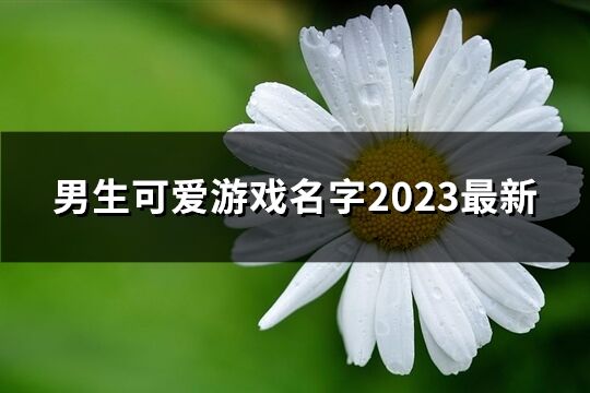 男生可爱游戏名字2023最新(精选46个)