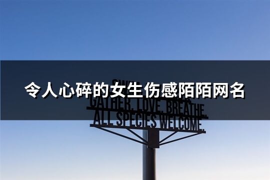 令人心碎的女生伤感陌陌网名(共210个)