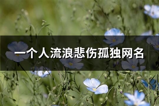 一个人流浪悲伤孤独网名(共313个)