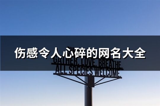 伤感令人心碎的网名大全(精选767个)