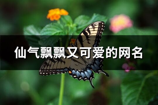 仙气飘飘又可爱的网名(共236个)