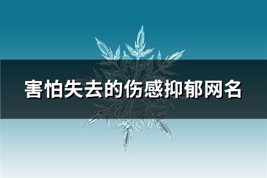 害怕失去的伤感抑郁网名(533个)