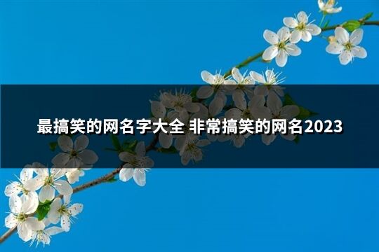 最搞笑的网名字大全