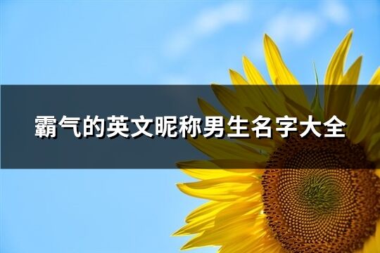 霸气的英文昵称男生名字大全(共76个)