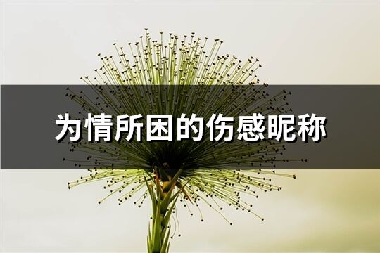 为情所困的伤感昵称(118个)