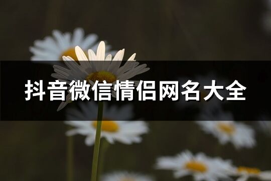 抖音微信情侣网名大全(共128个)