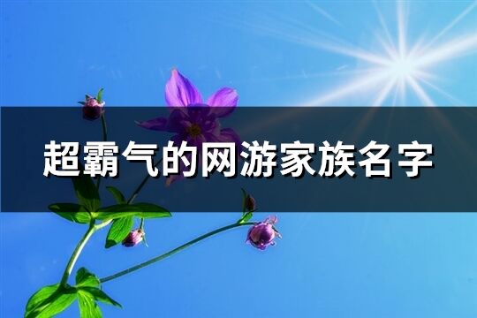 超霸气的网游家族名字(352个)