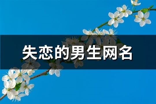 失恋的男生网名(124个)