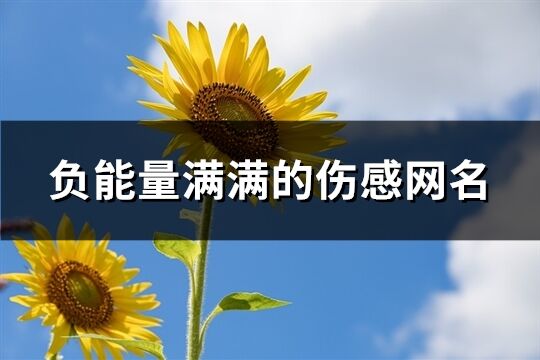 负能量满满的伤感网名(344个)