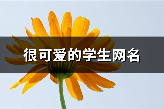 很可爱的学生网名(精选140个)