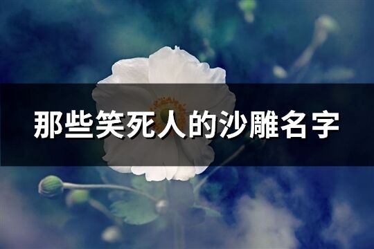 那些笑死人的沙雕名字(精选575个)