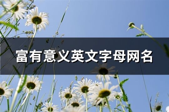 富有意义英文字母网名(精选114个)