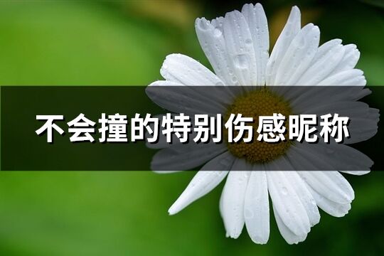 不会撞的特别伤感昵称(精选83个)