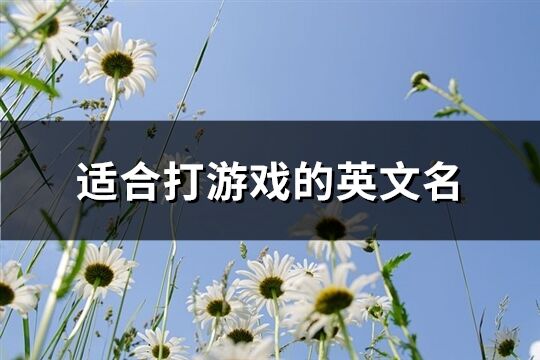 适合打游戏的英文名(共132个)