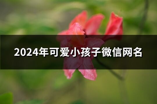 2024年可爱小孩子微信网名(精选251个)