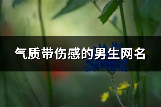 气质带伤感的男生网名(537个)